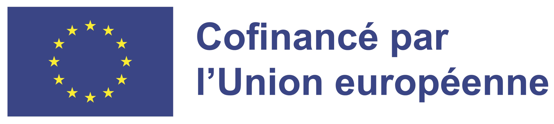 Embleme ue couleur horizontal reduite